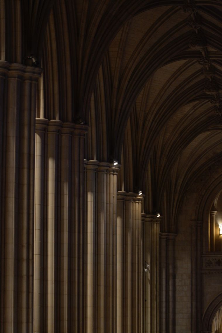 The Other America: Dr. Martin Luther King Annual Tribute at National Cathedral