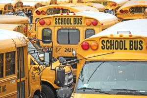 Full Frame Shot Of School Buses In City