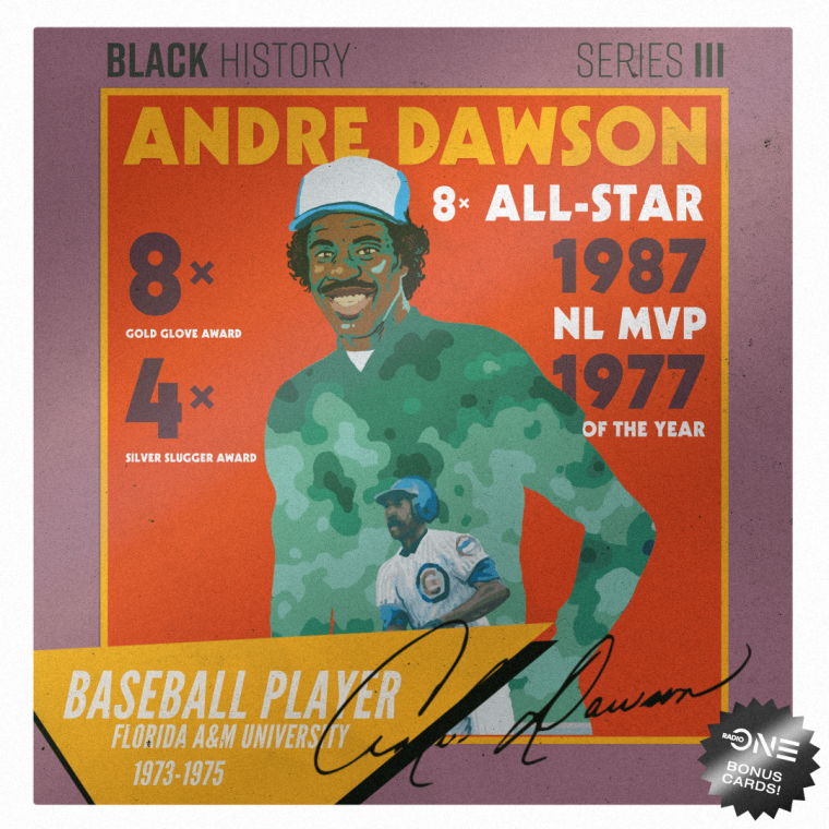 Andre Dawson, Florida A&M University