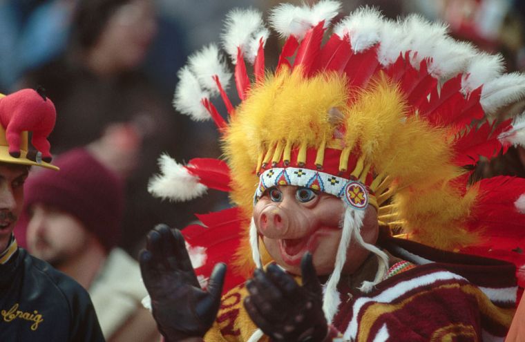 Washington Redskins Fan