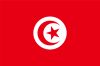 Tunisia flag simple illustration for independence day or election