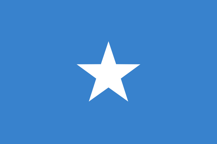 Federal Republic of Somalia African Country Flag