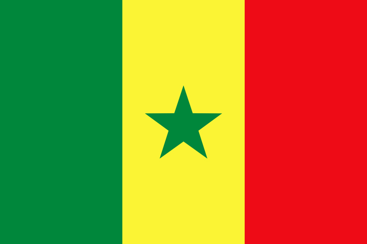 Republic of Senegal African Country Flag