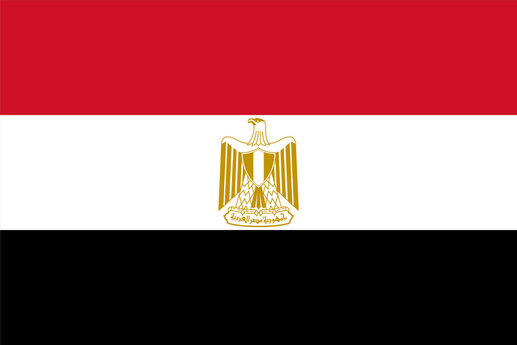 Egypt flag simple illustration for independence day or election