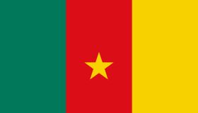 Cameroon African Country Flag