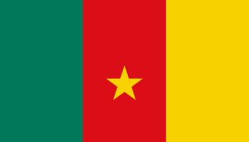 Cameroon African Country Flag