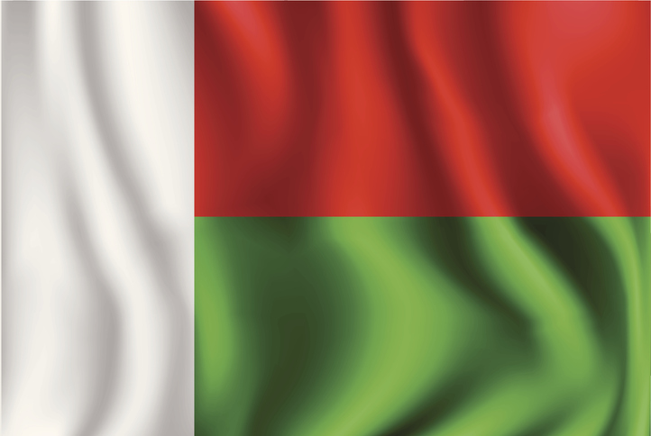 Flag Of Madagascar