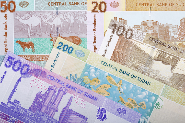 Sudanese money a business background