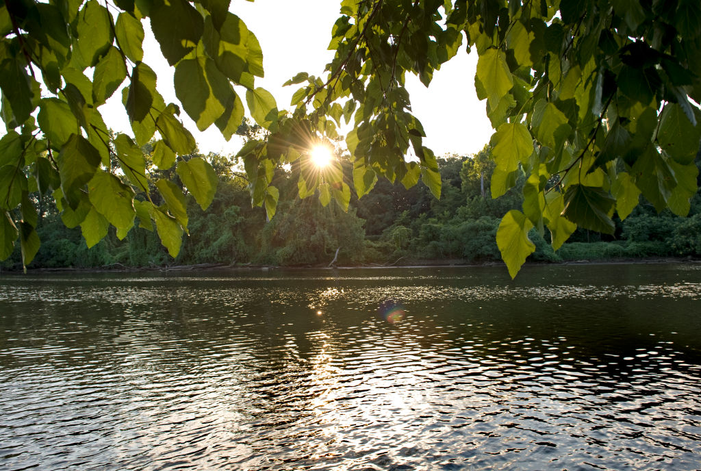 Anacostia River Still In Need Of Cleanup