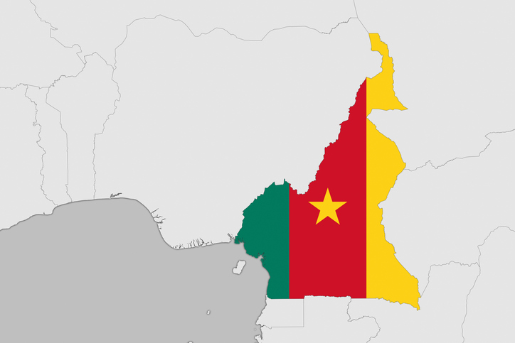 Africa map series with Cameroon, with flag