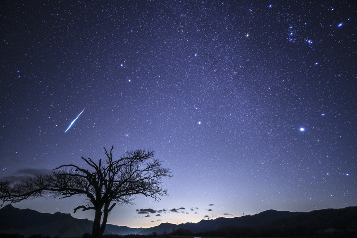 Winter Night Sky with Geminid Meteor Over the Yamanashi Tree in Nobeyama Highland, Japan